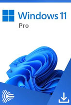 windows 11 Professional - box